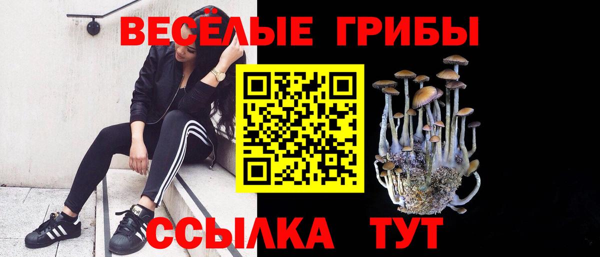 Кохма  Псилоцибиновые грибы ЛСД  Вход с VPN 