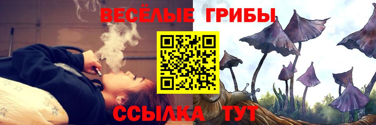 Псилоцибиновые грибы Psilocybe Кохма